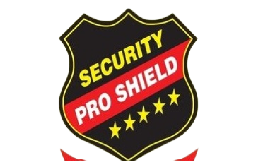 pro_security